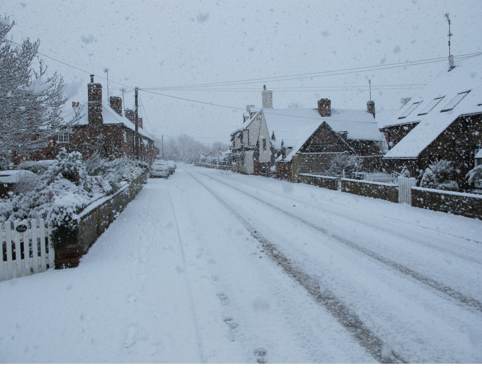 BV in snow 001.JPG